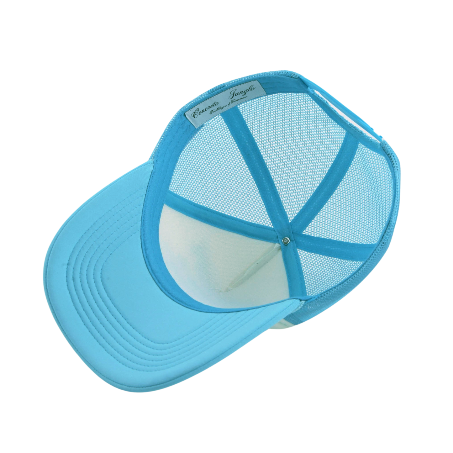 Do Dope Stuff & The Money Will Follow Trucker Cap Cream & Sky Blue