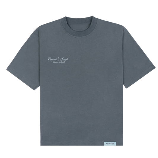 Do Dope Stuff & The Money Will Follow T-Shirt Grey